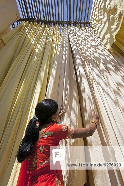 Frau  Prüfung  Frische  hängen  trocken  Stoff  Haare färben  Asien  Indien  Qualität  Rajasthan  Sari