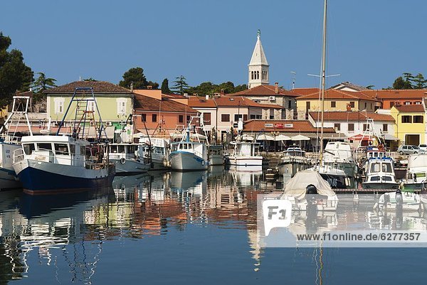 Harbour and Venetian style campanile  Novigrad (Cittanova)  Istria  Croatia  Adriatic  Europe