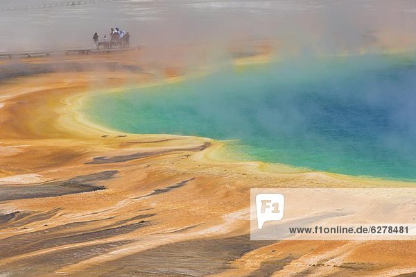 Grand Prismatic Spring  Midway Geyser Basin  Yellowstone National Park  UNESCO World Heritage Site  Wyoming  United States of America  North America