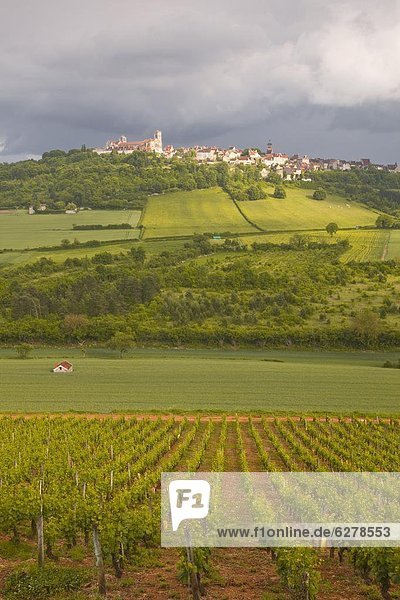 Vezelay  Burgundy  France  Europe