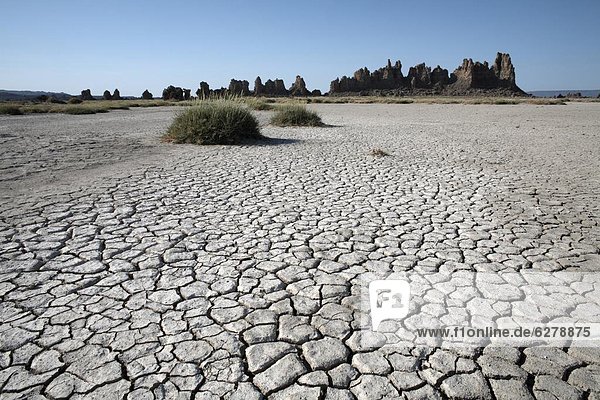 Die trostlose Landschaft von Lac Abbe  gesprenkelt mit Kalkstein Schornsteine  Dschibuti  Afrika