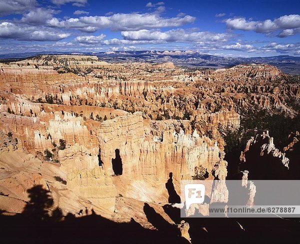 Vereinigte Staaten von Amerika  USA  Nordamerika  Hoodoo  Bryce Canyon Nationalpark  Utah