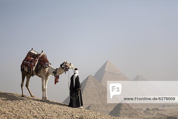 Nordafrika  Kairo  Hauptstadt  Führung  Anleitung führen  führt  führend  UNESCO-Welterbe  Afrika  Beduine  Kamel  Ägypten