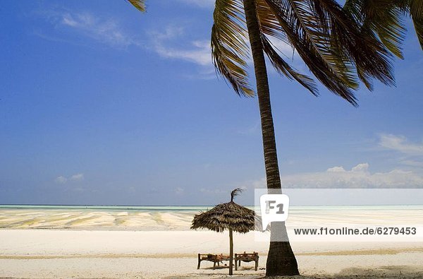 Ostafrika  Strand  Regenschirm  Schirm  Baum  Reetdach  Sonnenschirm  Schirm  Afrika  Paje  Tansania  Sansibar