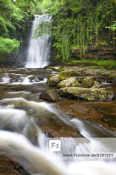 nahe  Europa  Großbritannien  Wasserfall  Brecon Beacons National Park  Powys  Wales