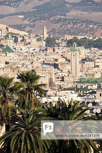 Town of Fez  Morocco  North Africa  Africa
