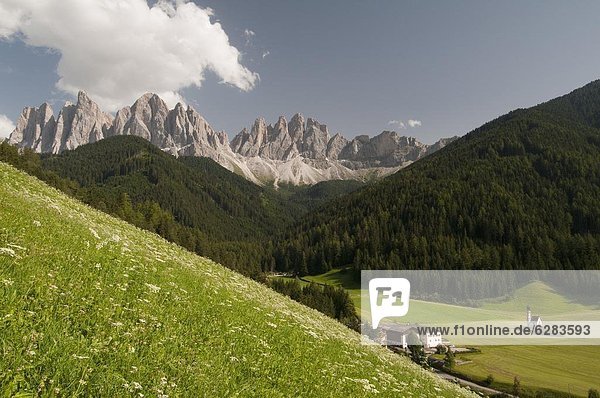Trentino Südtirol Europa Dolomiten Italien