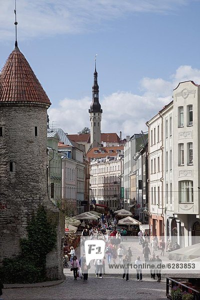 Tallinn  Estonia  Baltic States  Europe