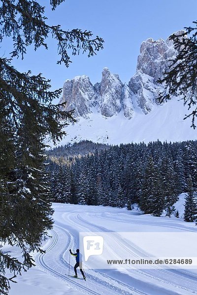 Man cross-country skiing  Puez Odle National Park  Dolomites  South Tirol  Trentino-Alto Adige  Italy  Europe