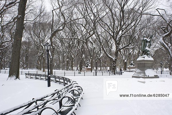 Early morning in Central Park after a fresh snowfall  New York City  New York State  United States of America  North America