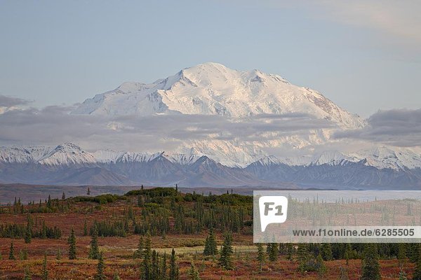 Vereinigte Staaten von Amerika  USA  Sonnenuntergang  Berg  Denali Nationalpark  Mount McKinley  Alaska