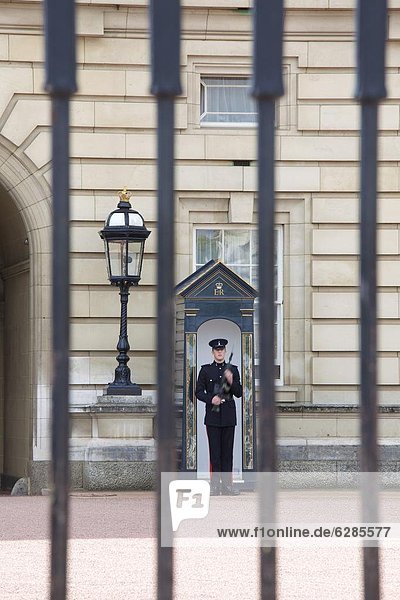 Wache draußen Buckingham Palace  London  England  Vereinigtes Königreich  Europa