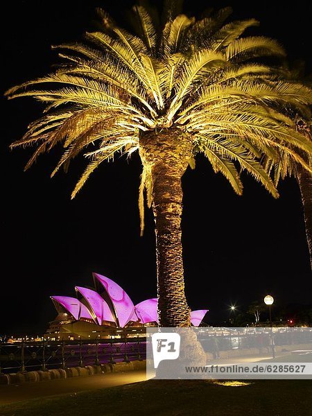 Wohnhaus Baum Pazifischer Ozean Pazifik Stiller Ozean Großer Ozean Palme Australien New South Wales Oper Sydney