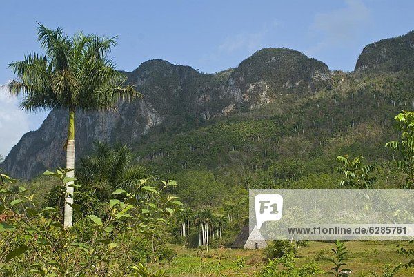 Hütte  Felsen  Ländliches Motiv  ländliche Motive  klein  Hügel  Westindische Inseln  Mittelamerika  Viñales  unterhalb  Kuba