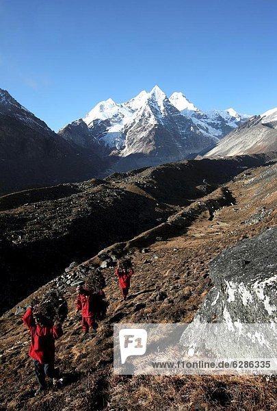 Feuerholz hoch oben Berg tragen über Dorf 3 fünfstöckig Buddhismus Himalaya Mönch
