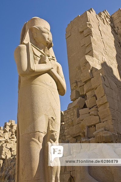 Giant statue of the great pharaoh Rameses II with the small statue of his daughter Bent'anta between his legs in the forecourt behind the first Pylon of the great Temple at Karnak near Luxor  Thebes  UNESCO World Heritage Site  Egypt  North Africa  Africa
