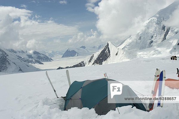 Vereinigte Staaten von Amerika  USA  camping  Zelt  Nordamerika  Denali Nationalpark  Alaska