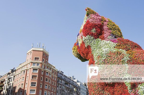 Europa  Skulptur  Blume  Hund  Bilbao  Welpe  Spanien
