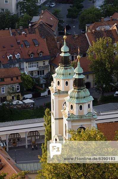 Cathedral of St. Nicholas  Ljubljana  Slovenia  Europe
