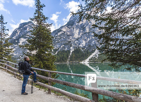 56jähriger Wanderer genießt die Aussicht am Pragser Wildsee  Lago di Braies  Pragser Tal  Prags  Dolomiten  Südtirol  Alto Adige  Italien  Europa