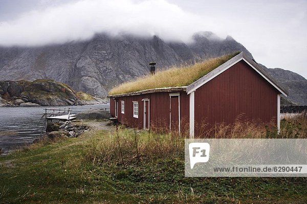 Dach  Hütte  Europa  Norwegen  Gras  Fjord  Skandinavien