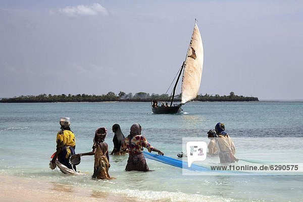 Women fishing on Kendwa Beach  Zanzibar  Tanzania  East Africa  Africa