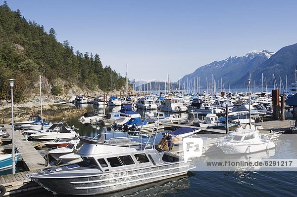 Scenery on the Sea to Sky Highway  boats in Horseshoe Bay  British Columbia  Canada  North America