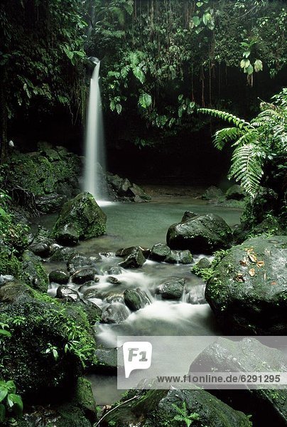 fließen  Wasserfall  Westindische Inseln  Mittelamerika  Dominica  Smaragd