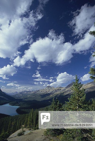 Tal  See  Nordamerika  Peyto Lake  Rocky Mountains  Banff Nationalpark  UNESCO-Welterbe  Kanada
