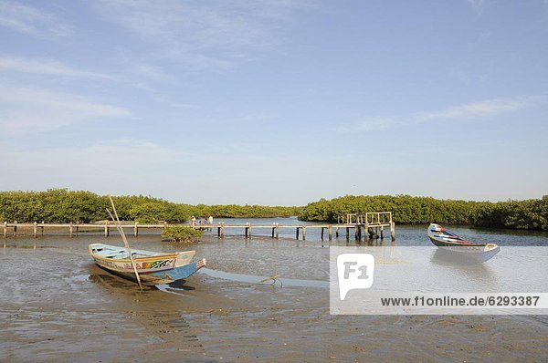 Westafrika  Boot  angeln  Flussdelta  Delta  Afrika  Mangrove  Senegal