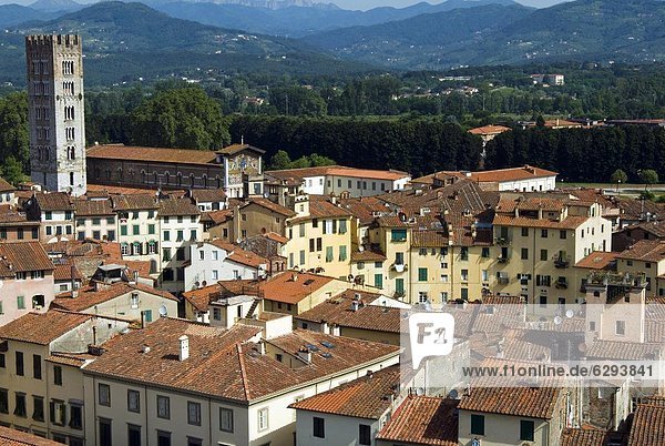 View of Lucca from Torre Guinigi  Lucca  Tuscany  Italy  Europe