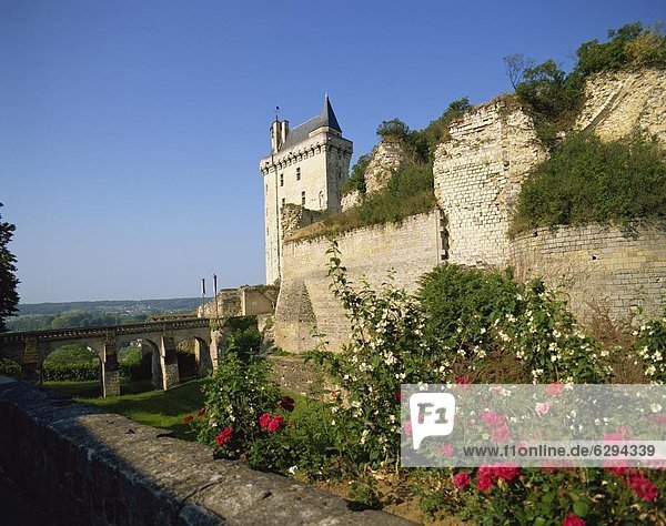 Frankreich Europa Indre-et-Loire Loiretal