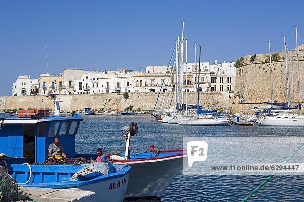 The castle and Old Town  Gallipoli  Lecce province  Puglia  Italy  Europe