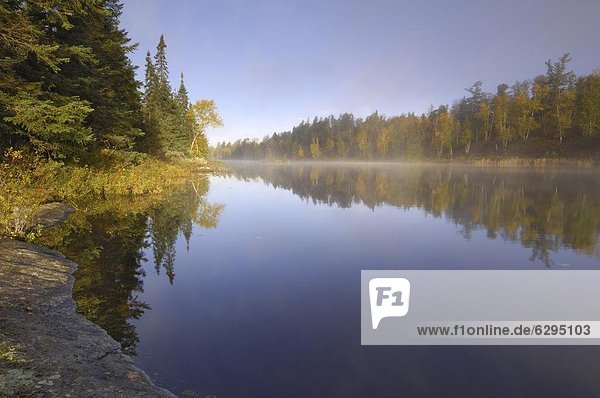 Misty morning on Hoe Lake  Boundary Waters Canoe Area Wilderness  Superior National Forest  Minnesota  United States of America  North America