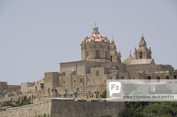 Kathedrale in Mdina  die Festung Stadt  Malta  Europa