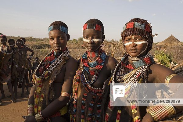 People of the Hamer tribe  the woman's hair treated with ochre  water and resin and twisted into tresses known as goscha  Lower Omo Valley  southern Ethiopia  Ethiopia  Africa