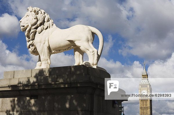 Die Westminster Bridge Lion und Big Ben  Westminster  London  England  Großbritannien  Europa