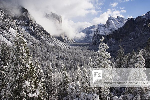 Fresh snow fall on El Capitan in Yosemite Valley  Yosemite National Park  UNESCO World Heritage Site  California  United States of America  North America