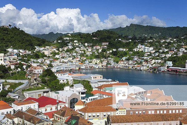 Carenage Harbour  St. George's  Grenada  Windward Islands  Lesser Antilles  West Indies  Caribbean  Central America