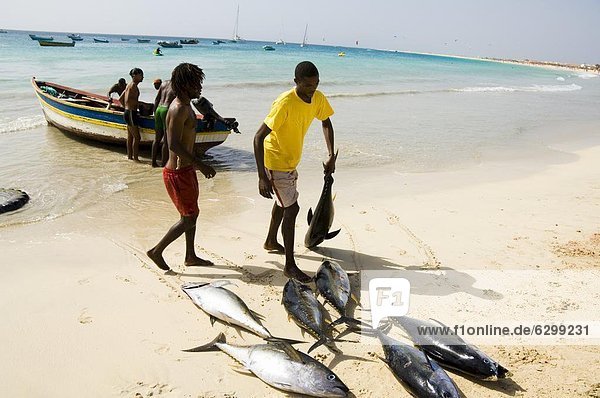 Strand fangen bringen Insel Afrika Atlantischer Ozean Atlantik Fischer Speisesalz Salz