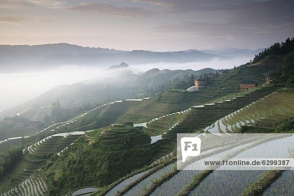 Sunrise  Longsheng terrassierte Reisfeldern  Provinz Guangxi  China  Asien