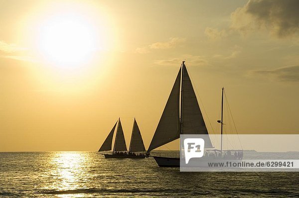 Segelboote bei Sonnenuntergang  Key West  Florida  Vereinigte Staaten von Amerika  Nordamerika