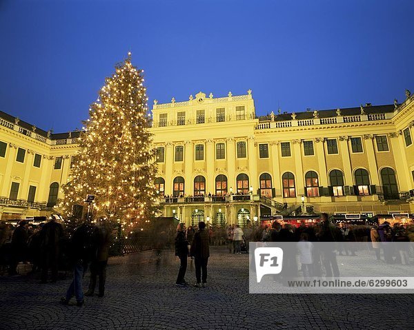 Christmas tree in front of Schonbrunn Palace at dusk  UNESCO World Heritage Site  Vienna  Austria  Europe