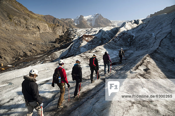 Touristengruppe  Wanderung  Gletscherzunge SvÌnafellsjökull  Skaftafell Nationalpark  Austurland  Ostisland  Island  Europa