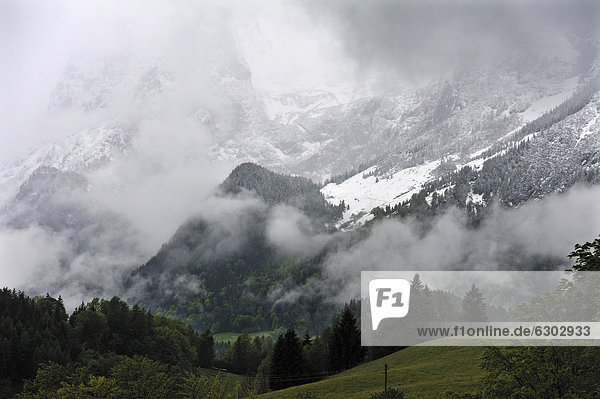 Neuschnee auf der verhangenen Reiteralpe an einem bewölkten Morgen  Ramsau  Berchtesgadener Land  Oberbayern  Deutschland  Europa