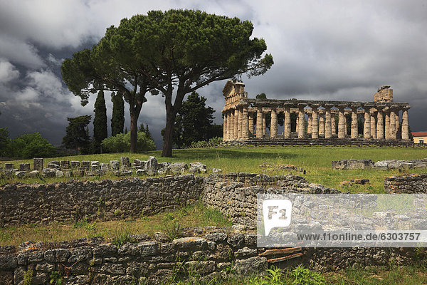 Das Athenaion  Cerestempel oder Athenetempel in Paestum  Kampanien  Italien  Europa
