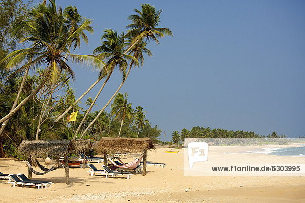 Strand mit Sand  Palmen und überdachten Hängematten unter blauem Himmel  Tangalle  Sri Lanka  Asien