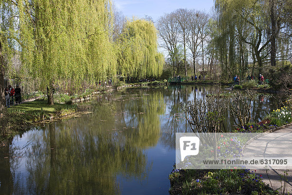 Seerosenteich im Frühling  Grundstück von Claude Monet  Giverny  Haute-Normandie  Frankreich  Europa