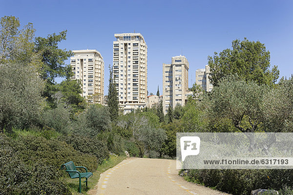 Residential skyscrapers  from Rehavia Park  West Jerusalem  Jerusalem  Israel  Middle East