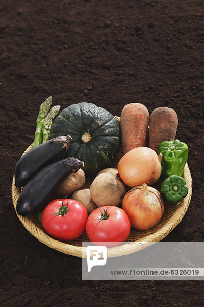 Korb  Gemüse  füllen  füllt  füllend  Vielfalt